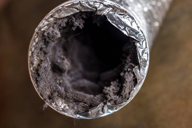 Best Air Duct Cleaning Near Me  in Manvel, TX