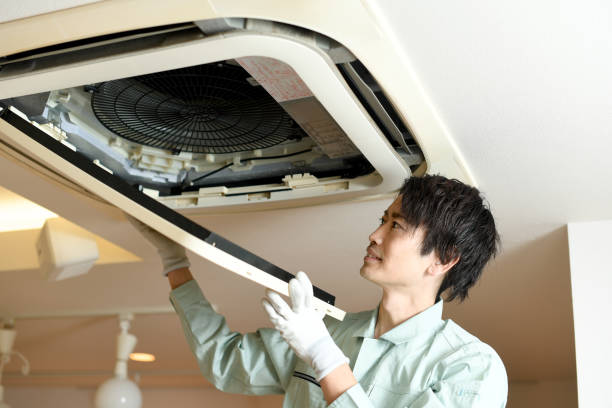 Best Affordable Duct Cleaning Services  in Manvel, TX