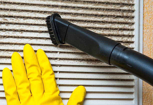 Best Home Air Vent Cleaning  in Manvel, TX